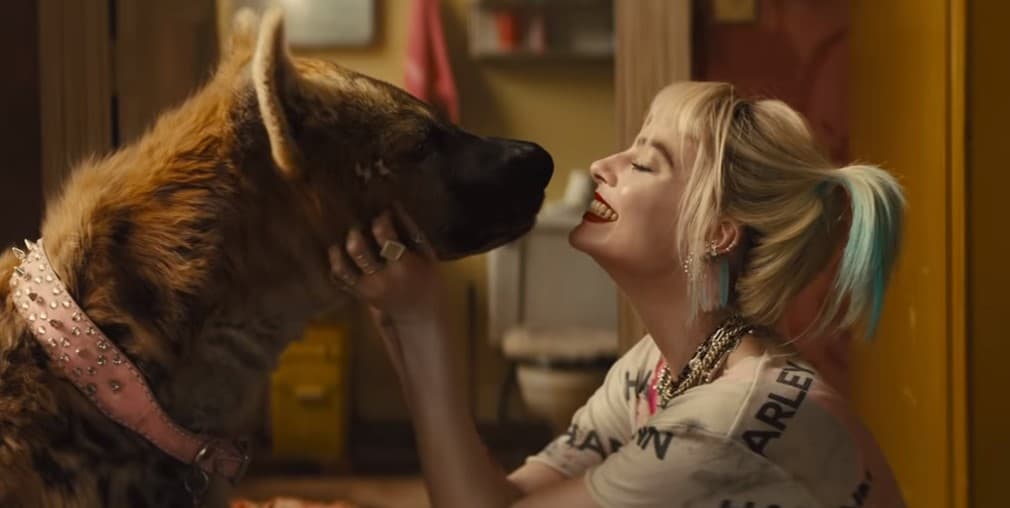 Марго Робби “Жокертой харьцуулбал илүү эрч хүчтэй.”