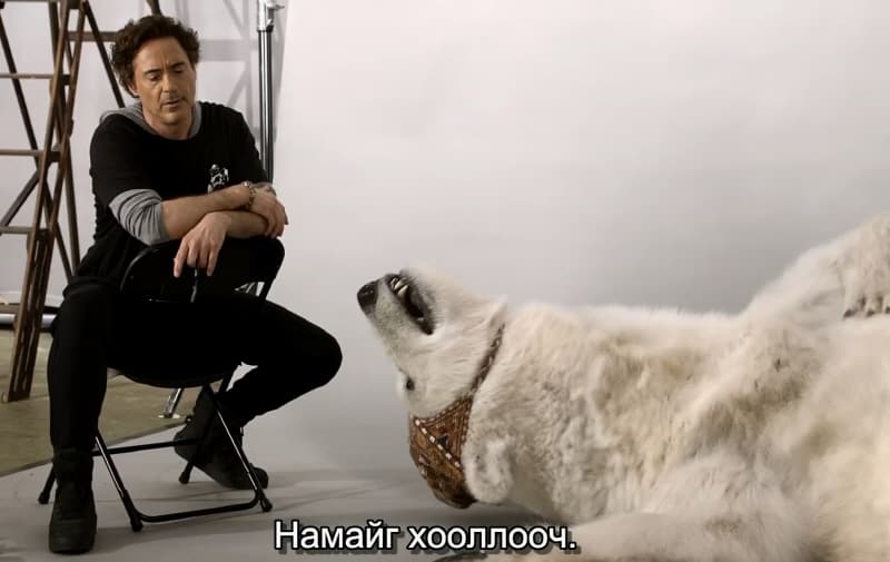 “Дүлитл” киноны амьтдын сонгон шалгаруулалтын бичлэг цацагджээ